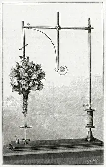 Fastening: Florist's device for fastening bouquets of flowers