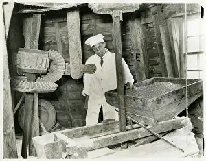 Cogs: FLOUR MILL 1930S
