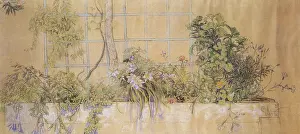 Blooms: Flower Bed