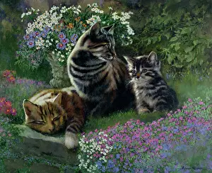 Coker: Flower Bed with cats and kitten