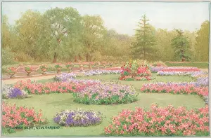 Flower Beds, Kew Gardens