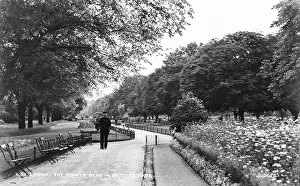 Neatly: The Flower Beds in Regent's Park