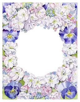 Forget Me Not: Flower border ? Pansies, Forget-me-not etc