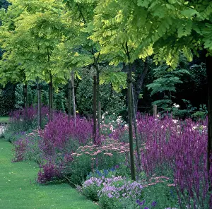 Perdereau: Flower border with young trees