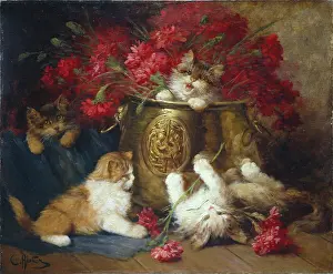 Carnations: In the Flower Bucket - Four Kittens