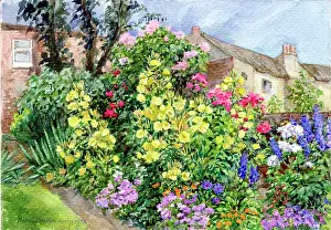 Dowson: Flower bush in front of a house