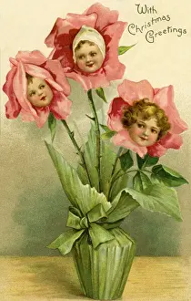 Hildesheimer: Flower faces