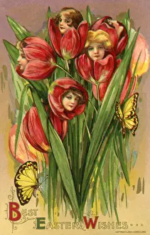 Centers: Flower Fairies