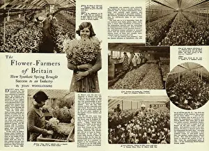 Greenhouses: The flower farmers of Britain 1938