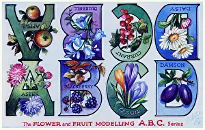Abcd: Flower & Fruit ABC