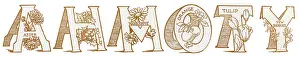 Flower & Fruit ABC