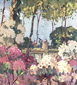 Violet: Flower Garden