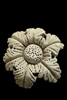 Illyrian: Flower, Hellenistic, Museum of Apollonia, Fier, Albania
