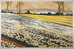 Bulbs: Flower industry