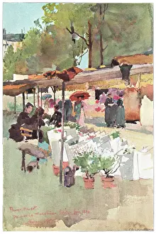 Medellin: Flower Market by Charles John Watson