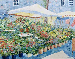 Sunshades: Flower Market, Honfleur