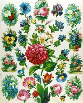 Pansies: Flower pattern samples