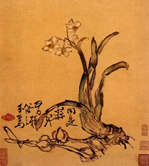 Shan: Flower and Plant