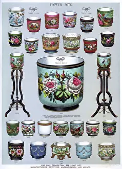 Horticultural: Flower Pots, Plate 64