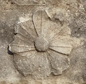 Mugla: Flower relief, Temple of Apollo, Letoon, Antalya, Turkey