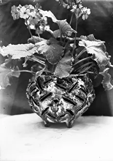 Craftwork: Flower stick with primroses in a ceramic vase