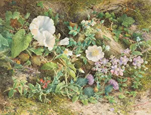 Thistles: FLOWER STUDY, by John Jessop Hardwick, 1866, British