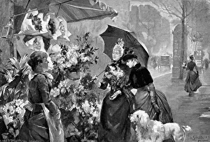 Passer By: Flower vendor