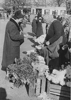 Peddlers: Flower vendor at the gate 2 of the Vienna Central