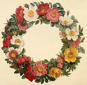 Comforted: Flower Wreath