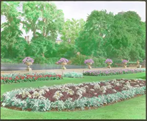 Flowerbeds and trees at Kew Gardens