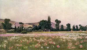 Obscuring: Flowering Fields, Giverny