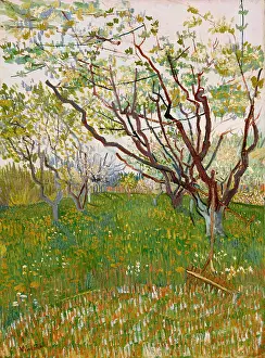 Painterly: The Flowering Orchard, by Vincent Van Gogh, 1888