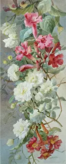 Flowerpiece: Flowerpiece ' with white and red flowers