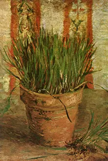 Lifes: Flowerpot with Chives, by Van Gogh