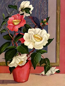 Leafy: Flowerpot and Painting