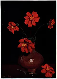 Dahlias: Flowers