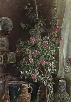 Superscribed: Flowers