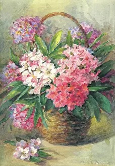 Pressland: Flowers