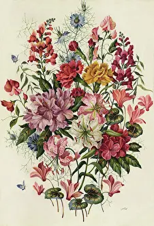 Dawes: Flowers