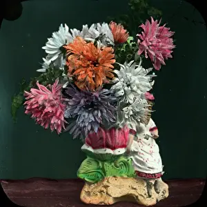 Asters: Flowers - Asters