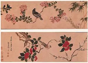Myrtle: Flowers and Birds
