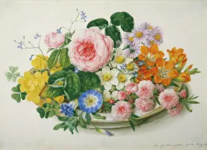 Knapp: Flowers in a Bowl - including pink rose
