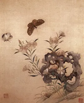 Anthropods: Flowers and Butterflies