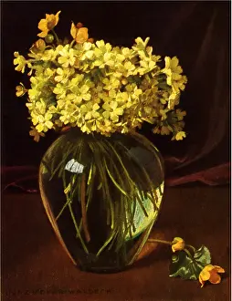 Rounded: Flowers in Clear Glass Vase