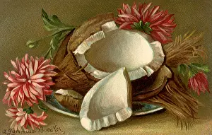 Coconut: Flowers and Coconut