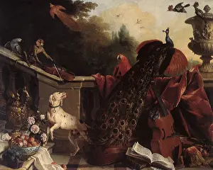 1717: Flowers, Fruit, Animals and Musical Instruments