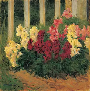Koloman: Flowers in front of garden fence