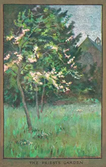 Barham: Flowers & Gardens