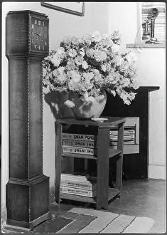 Featureless: FLOWERS IN HALLWAY