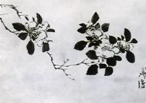 Leafs: Flowers and Leafs
